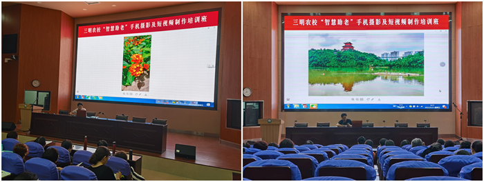 1652967229803823.jpg 7.jpg